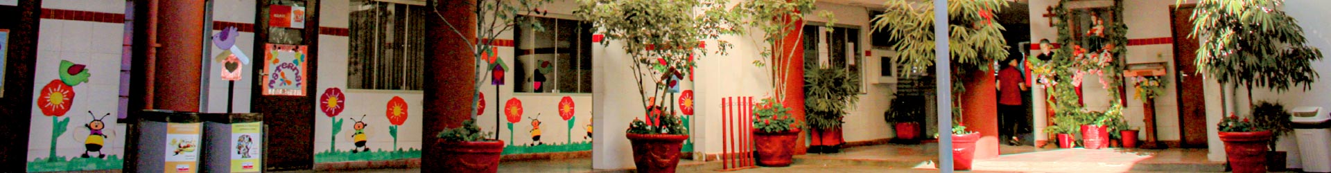 Niveles Académicos — recorrido formativo